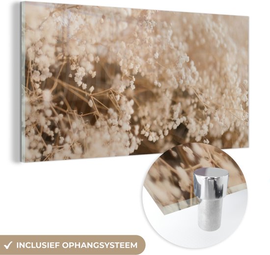 MuchoWow® Peinture sur verre - Herbe de la Pampa - Plante - Nature - 160x80 cm - Peintures sur verre acrylique - Photo sur Glas