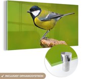 Glasschilderij - Foto op glas - Vogel - Koolmees - Groen - Dieren - Acrylglas - 160x80 cm - Glasschilderij vogels - Schilderij glas - Glasschilderij dieren - Muurdecoratie - Woonkamer