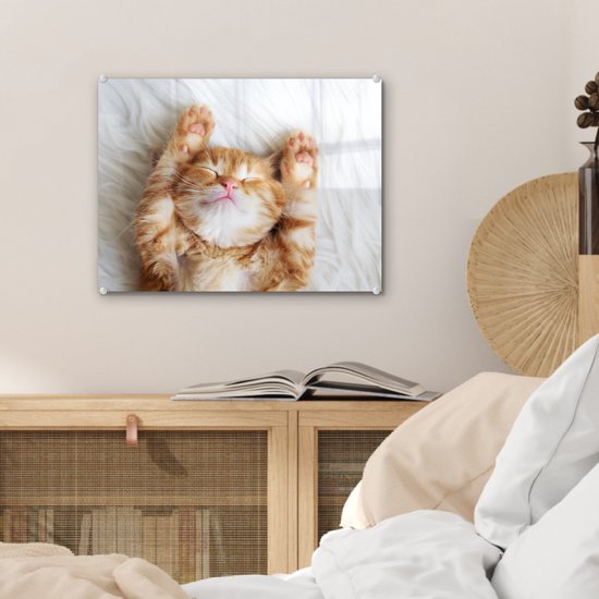 Peinture sur verre - Photo sur verre - Verre acrylique - Chat - Couverture - Chat - Chaton - Animaux - Peintures salon - 40x30 cm - Peinture sur verre - Décoration murale - Décoration murale