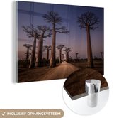 MuchoWow® Glasschilderij 90x60 cm - Schilderij acrylglas - Laan van baobab bomen in Madagaskar - Foto op glas - Schilderijen