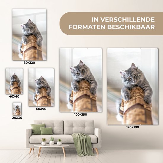 MuchoWow® Peinture sur Verre - Chat - Arbre à Chat - Grijs - 100x150 cm - Peintures sur Verre Acrylique - Photo sur Glas