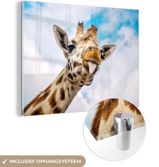 MuchoWow® Peinture sur verre 80x60 cm - Peinture sur verre acrylique - Girafe - Nuages ​​- Langue - Photo sur verre - Peintures
