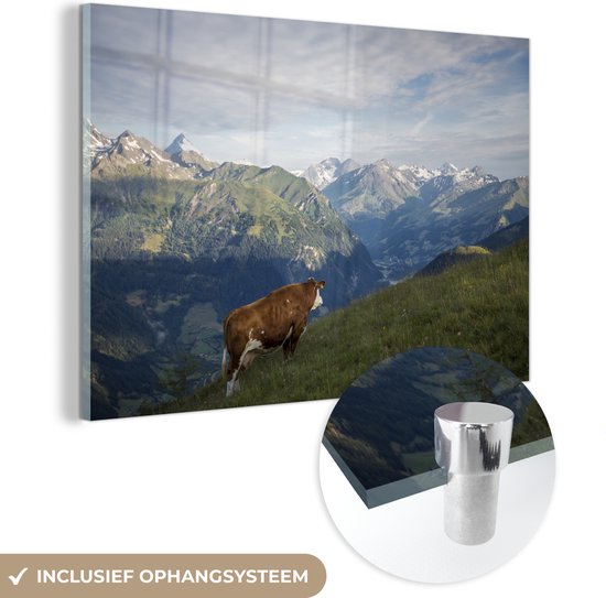 MuchoWow® Glasschilderij 60x40 cm - Schilderij acrylglas - Koe op de bergweide in het Nationaal park Hohe Tauern in Oostenrijk - Foto op glas - Schilderijen