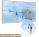 MuchoWow® Glasschilderij 120x60 cm - Schilderij acrylglas - IJsbeer - Sneeuw - Koud - Foto op glas - Schilderijen