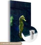 MuchoWow® Glasschilderij 40x60 cm - Schilderij acrylglas - Groen zeepaardje tegen een donkerblauwe achtergrond - Foto op glas - Schilderijen
