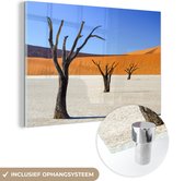 MuchoWow® Glasschilderij 180x120 cm - Schilderij acrylglas - Boompjes in woestijn - Foto op glas - Schilderijen