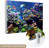 MuchoWow® Glasschilderij 150x100 cm - Schilderij acrylglas - Koraal - Vis - Aquarium - Foto op glas - Schilderijen