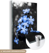 MuchoWow® Glasschilderij 100x150 cm - Schilderij acrylglas - Bloemen - Zwart - Wit - Blauw - Foto op glas - Schilderijen