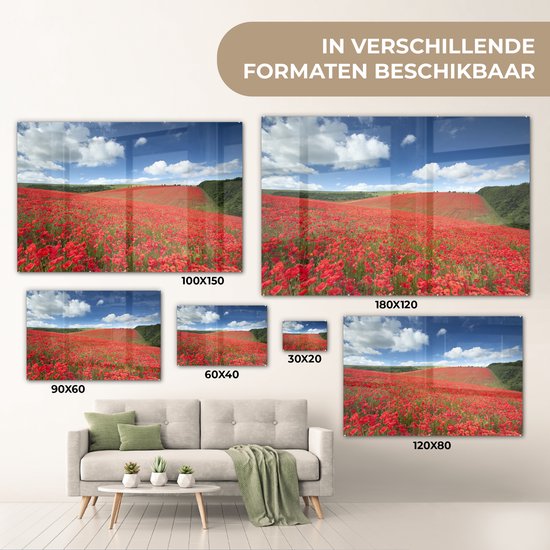 MuchoWow® Peinture sur verre 90x60 cm - Peinture sur verre acrylique - Coquelicots - Fleurs - Ciel - Photo sur verre - Peintures