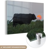 MuchoWow® Glasschilderij 120x80 cm - Schilderij acrylglas - Koe - Zwart - Zon - Foto op glas - Schilderijen