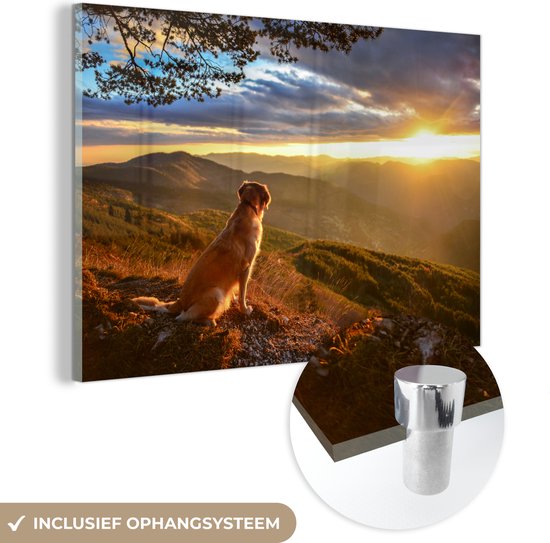 Un Golden Retriever regardant le coucher du soleil Plexiglas 30x20 cm - petit - Tirage photo sur Glas (décoration murale en plexiglas)