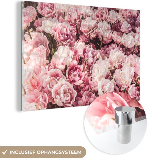 MuchoWow® Glasschilderij 30x20 cm - Schilderij acrylglas - Bloemen - Natuur - Roze - Foto op glas - Schilderijen