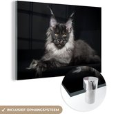 Peinture sur Verre - Chat - Lumière - Fourrure - 150x100 cm - Peintures sur Verre Peintures - Photo sur Glas
