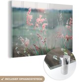 MuchoWow® Glasschilderij 120x80 cm - Schilderij acrylglas - Bloemen - Water - Roze - Foto op glas - Schilderijen