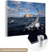MuchoWow® Glasschilderij 60x40 cm - Schilderij acrylglas - Zwerm jan-van-gent boven de Noordzee - Foto op glas - Schilderijen