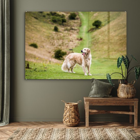 MuchoWow® Glasschilderij 180x120 cm - Schilderij acrylglas - Prachtige afbeelding van een Golden Retriever - Foto op glas - Schilderijen