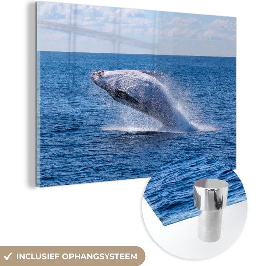 Peinture sur Verre - Australie - Baleine - Mer - 90x60 cm - Peintures sur Verre Peintures - Photo sur Glas