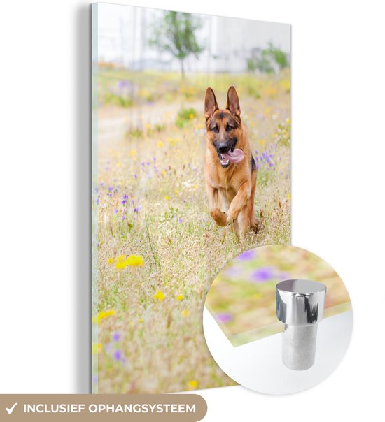 SAFE Hoogglans vitrine brug van 4 mm acrylglas 8,5 x 19 x 12,5 cm
