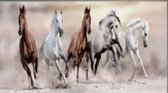 Diamond Painting Paarden - 90x30 cm - Vierkante steentjes - Nog zelf te maken - Compleet Hobbypakket - Geheel te beplakken