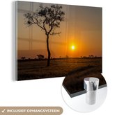 MuchoWow® Glasschilderij 60x40 cm - Schilderij acrylglas - Afrikaanse savanne tijdens zonsopkomst - Foto op glas - Schilderijen