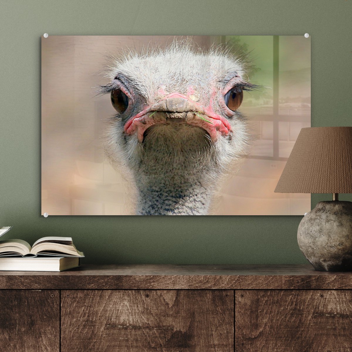MuchoWow® Glasschilderij 60x40 cm - Schilderij glas - Struisvogel Portret  van voren -... | bol
