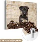 MuchoWow® Glasschilderij 30x20 cm - Schilderij acrylglas - Duitse herder pup in mand - Foto op glas - Schilderijen