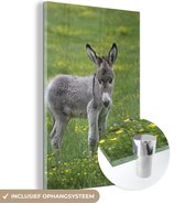 MuchoWow® Glasschilderij 40x60 cm - Schilderij acrylglas - Kleine ezel op grasveld - Foto op glas - Schilderijen