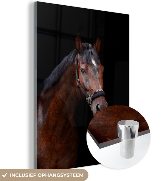 MuchoWow® Glasschilderij 60x80 cm - Schilderij acrylglas - Paard - Dieren - Bruin - Foto op glas - Schilderijen