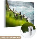 MuchoWow® Glasschilderij 90x60 cm - Schilderij acrylglas - Papegaaiduikers op de kliffen - Foto op glas - Schilderijen
