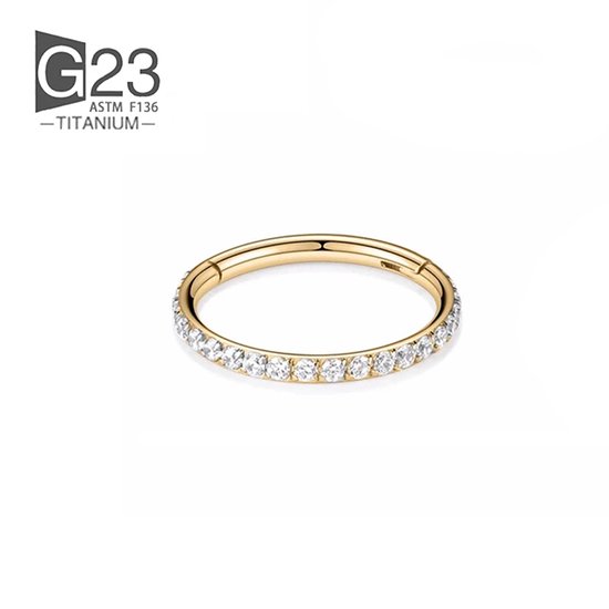 2 piercings: goud & zilver Chirurgisch Stalen Ring Piercing - Titanium - Diameter 8mm - Dikte 1.2mm - Ringetje geschikt voor Helix, Tragus, Septum, Lip, Neus & wenkbrauw piercing- goudkleurig - jewelegance