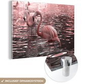 MuchoWow® Glasschilderij 30x20 cm - Schilderij glas - Een groep flamingo's staat in het water - Foto op acrylglas - Schilderijen