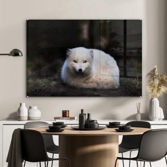 MuchoWow® Glasschilderij 120x80 cm - Schilderij acrylglas - Vos - Portret - Wit - Foto op glas - Schilderijen