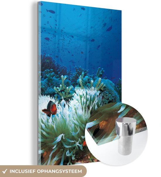 Glasschilderij - Onderwaterwereld met clownvissen - Acrylaat Schilderijen - Foto op Glas
