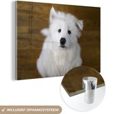 MuchoWow® Glasschilderij 120x80 cm - Schilderij acrylglas - Samoyeed puppy met smekende blik - Foto op glas - Schilderijen