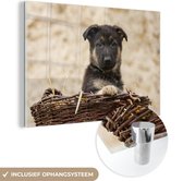 MuchoWow® Glasschilderij 120x80 cm - Schilderij acrylglas - Duitse herder pup in mand - Foto op glas - Schilderijen