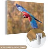 MuchoWow® Glasschilderij 60x40 cm - Schilderij acrylglas - Gekleurde papegaai met gespreide vleugels - Foto op glas - Schilderijen