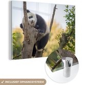 MuchoWow® Glasschilderij 120x80 cm - Schilderij acrylglas - Panda - Slapen - Dier - Foto op glas - Schilderijen