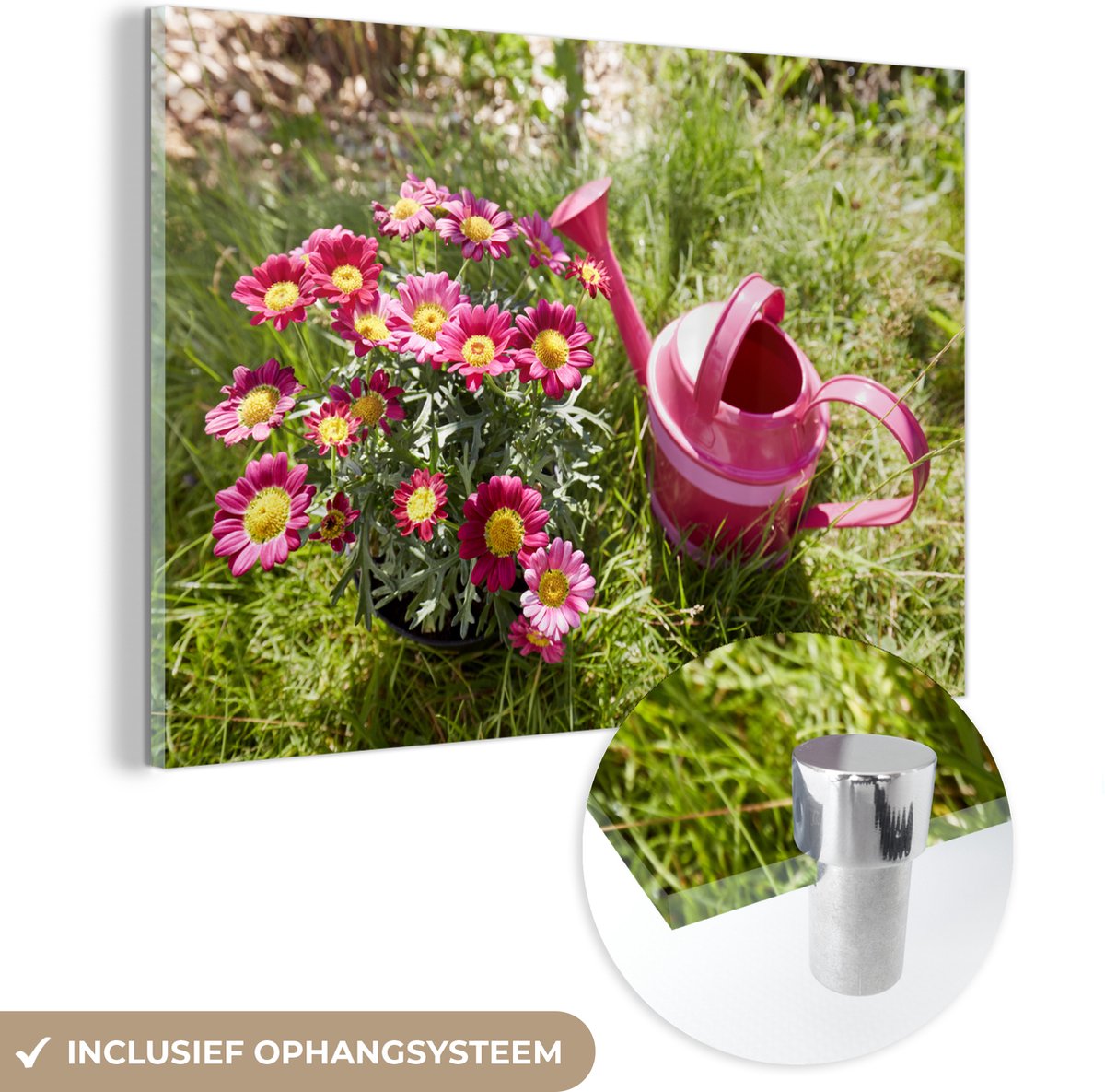 ® Glasschilderij 60x40 cm - Schilderij acrylglas - Bloemen - Gieter - Roze - Foto op glas 