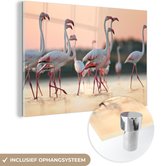 MuchoWow® Glasschilderij 90x60 cm - Schilderij acrylglas - Flamingo's bij zonsondergang - Foto op glas - Schilderijen