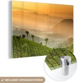 MuchoWow® Peinture sur verre 120x80 cm - Peinture sur verre acrylique - Coucher de soleil sur les plantations de thé - Photo sur verre - Peintures