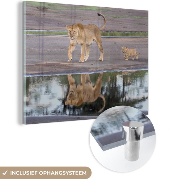 Peinture sur Verre - Lion - Water - Reflet - Cub - 120x90 cm - Peintures sur Verre Acrylique - Photo sur Glas