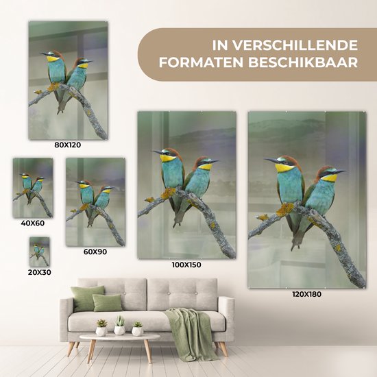 MuchoWow® Tableau sur Verre - Deux Mignons Guêpiers Regarder Ailleurs - 100x150 cm - Peintures sur Verre Acrylique - Photo sur Glas