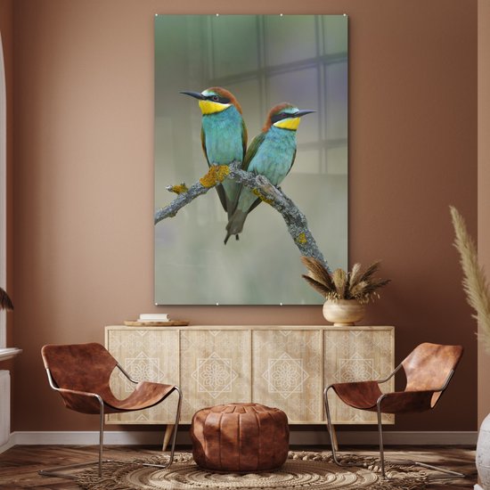 MuchoWow® Tableau sur Verre - Deux Mignons Guêpiers Regarder Ailleurs - 100x150 cm - Peintures sur Verre Acrylique - Photo sur Glas