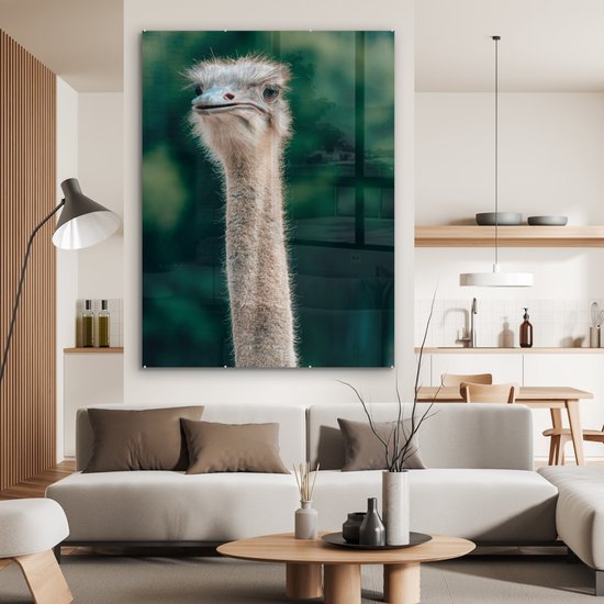 ® Glasschilderij 120x160 cm - Schilderij acrylglas - Close-up van een struisvogel - Foto op glas - Muurdecoratie woonkamer - Wanddecoratie slaapkamer - Schilderijen