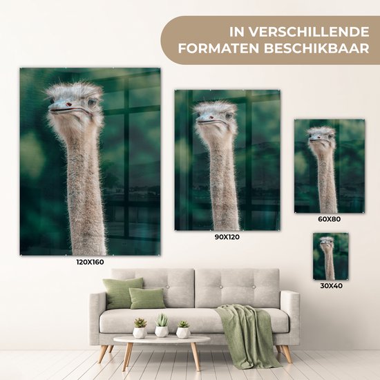 ® Glasschilderij 120x160 cm - Schilderij acrylglas - Close-up van een struisvogel - Foto op glas - Muurdecoratie woonkamer - Wanddecoratie slaapkamer - Schilderijen