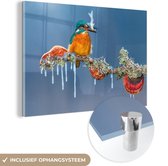 MuchoWow® Glasschilderij 150x100 cm - Schilderij acrylglas - IJsvogel - Tak - Vis - Foto op glas - Schilderijen