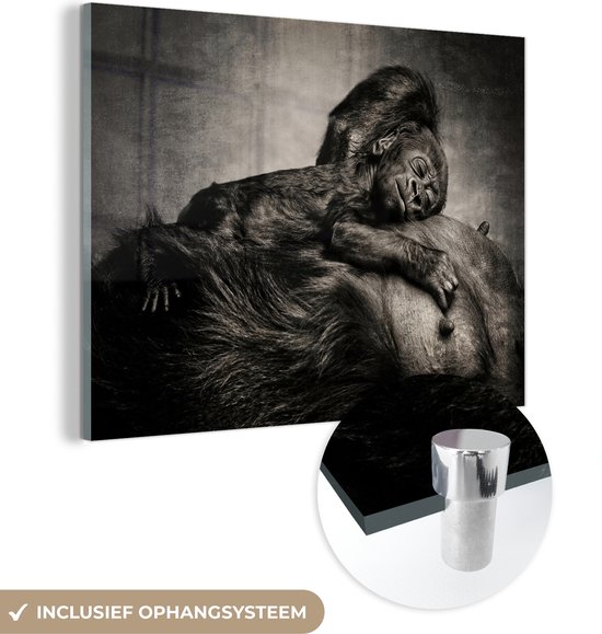 Glasschilderij - tekening gorilla met pasgeboren jong - Plexiglas Schilderijen