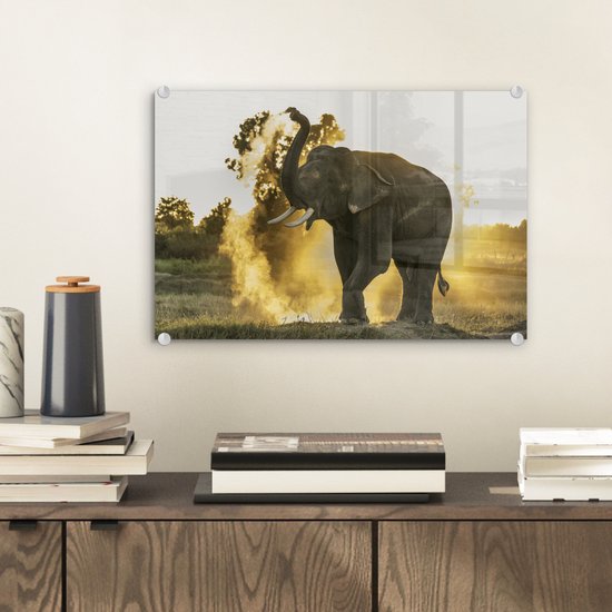 MuchoWow® Peinture sur Verre - Éléphant - Soleil - Animaux - 30x20 cm - Peintures sur Verre Acrylique - Photo sur Glas