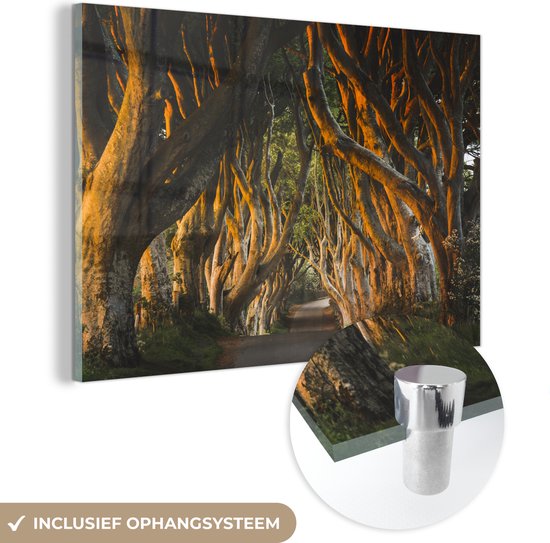 MuchoWow® Glasschilderij 180x120 cm - Schilderij acrylglas - Dark Hedges tunnel - Foto op glas - Schilderijen
