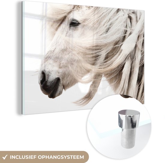 MuchoWow® Peinture sur Verre - Cheval - Crinière - Wit - 60x40 cm - Peintures sur Verre Acrylique - Photo sur Glas